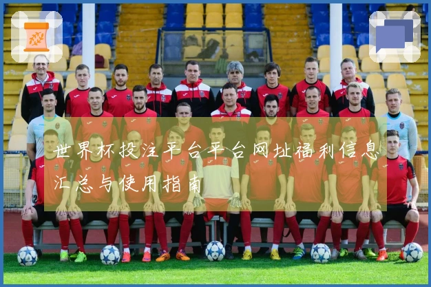 世界杯投注平台平台网址福利信息汇总与使用指南