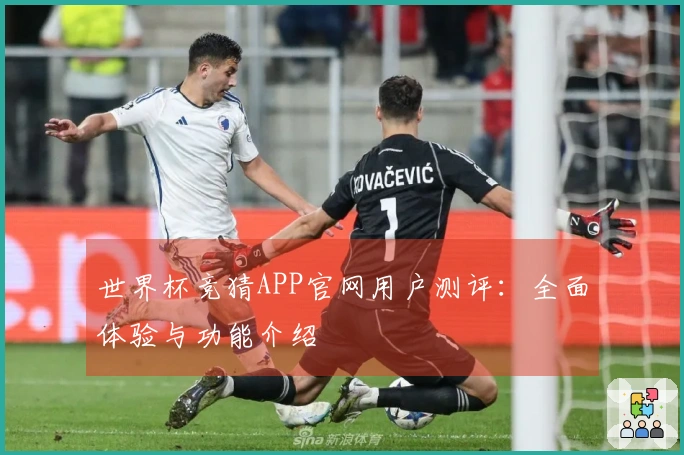 世界杯竞猜APP官网用户测评：全面体验与功能介绍