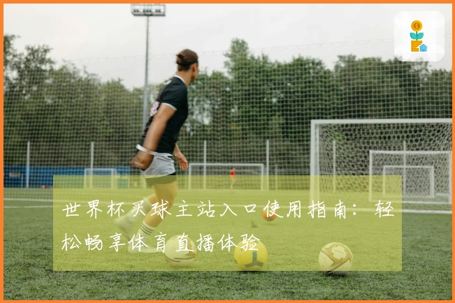 世界杯买球主站入口使用指南：轻松畅享体育直播体验