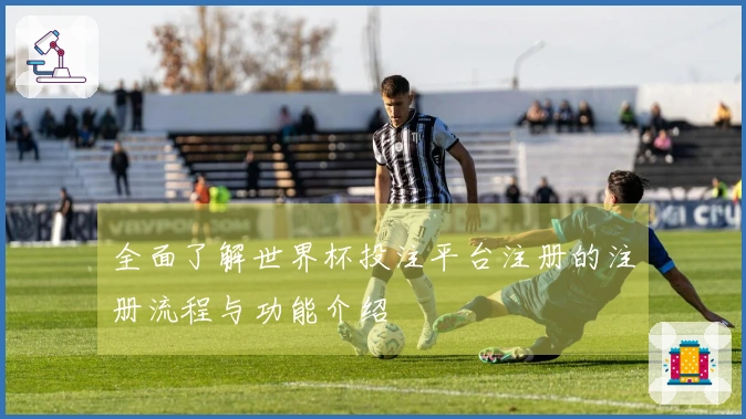 全面了解世界杯投注平台注册的注册流程与功能介绍