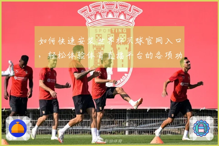 如何快速安装世界杯买球官网入口，轻松体验体育直播平台的各项功能