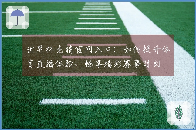 世界杯竞猜官网入口：如何提升体育直播体验，畅享精彩赛事时刻