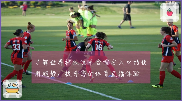 了解世界杯投注平台官方入口的使用趋势，提升您的体育直播体验