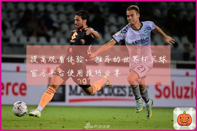 提高观看体验，推荐的世界杯买球官方平台使用技巧分享