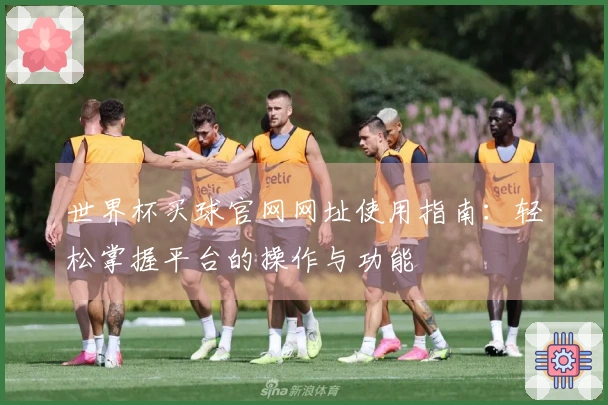 世界杯买球官网网址使用指南：轻松掌握平台的操作与功能