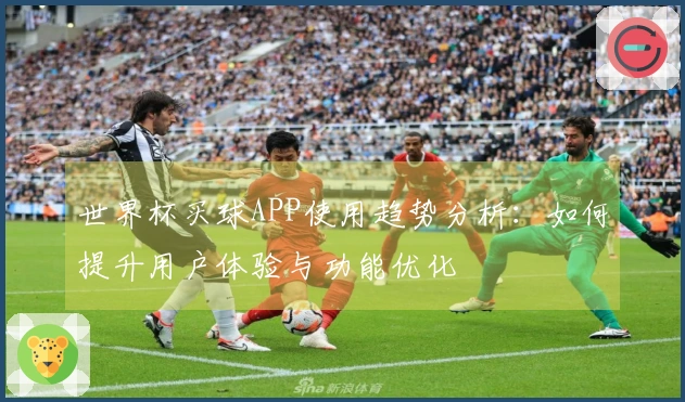 世界杯买球APP使用趋势分析：如何提升用户体验与功能优化