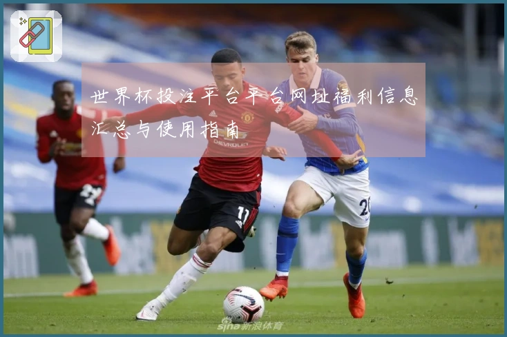 世界杯投注平台平台网址福利信息汇总与使用指南