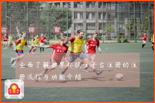 全面了解世界杯投注平台注册的注册流程与功能介绍