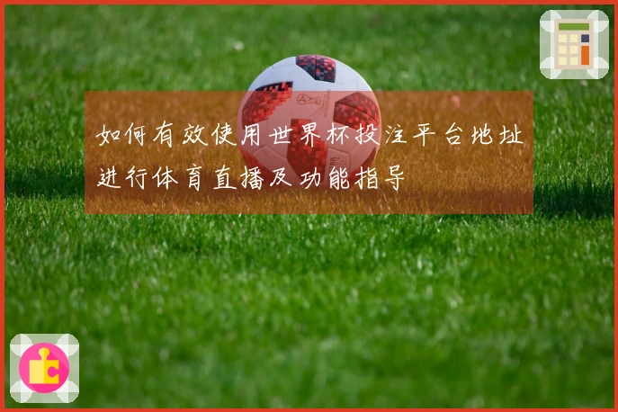 如何有效使用世界杯投注平台地址进行体育直播及功能指导