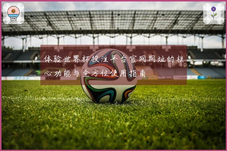 体验世界杯投注平台官网网址的核心功能与全方位使用指南