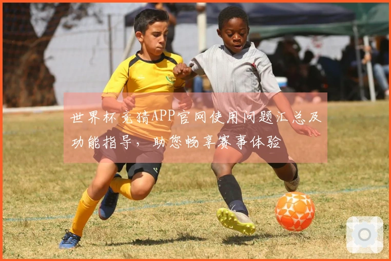 世界杯竞猜APP官网使用问题汇总及功能指导，助您畅享赛事体验