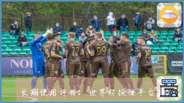长期使用评价：世界杯投注平台安卓下载的功能与体验分析